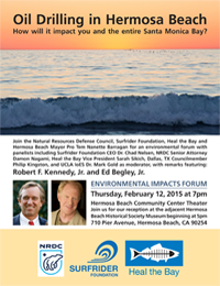 Hermosa Beach Feb. 12, 2015 Environmental Impacts Forum Flyer